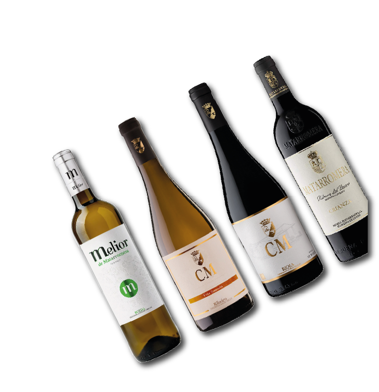 vino-menu-degustacion-madrid